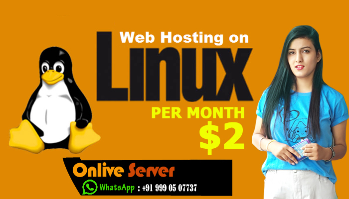 Cheap Web Hosting for Improvising Website – Onlive Server