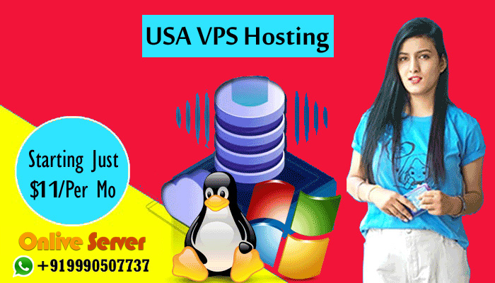 USA VPS Hosting – The Most Economical And Feature Rich Hosting Choice