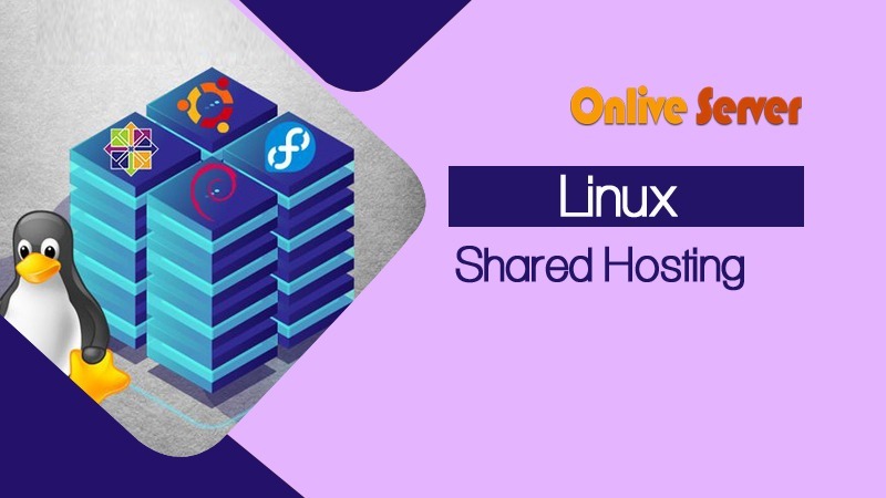 Fast and Easy Linux Shared Hosting Solutions