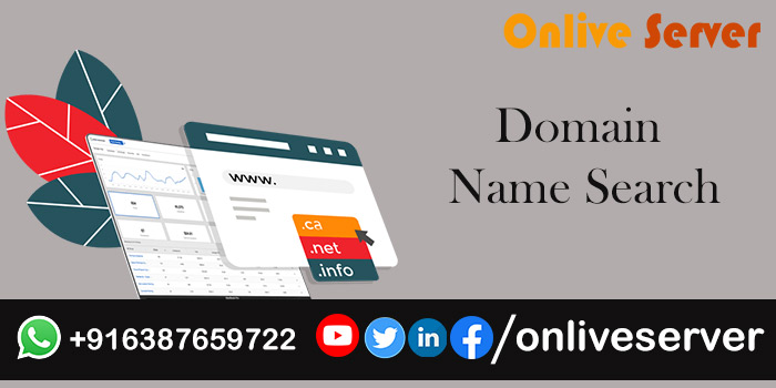 Get a Professional Domain Name Search by Onlive Server