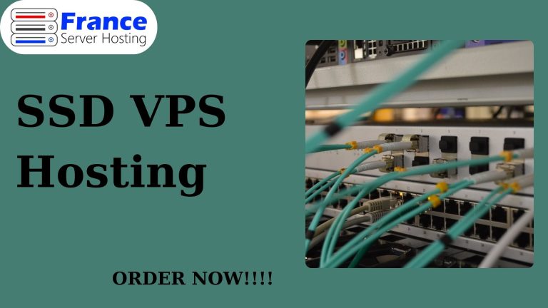 Explore the of SSD VPS Hosting with France Server Hosting